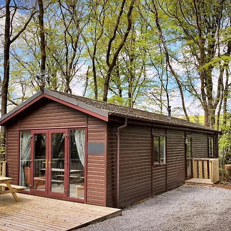 Woodland View -Hot Tub-Tenby-Carmarthen-セント・クリアーズ エクステリア 写真