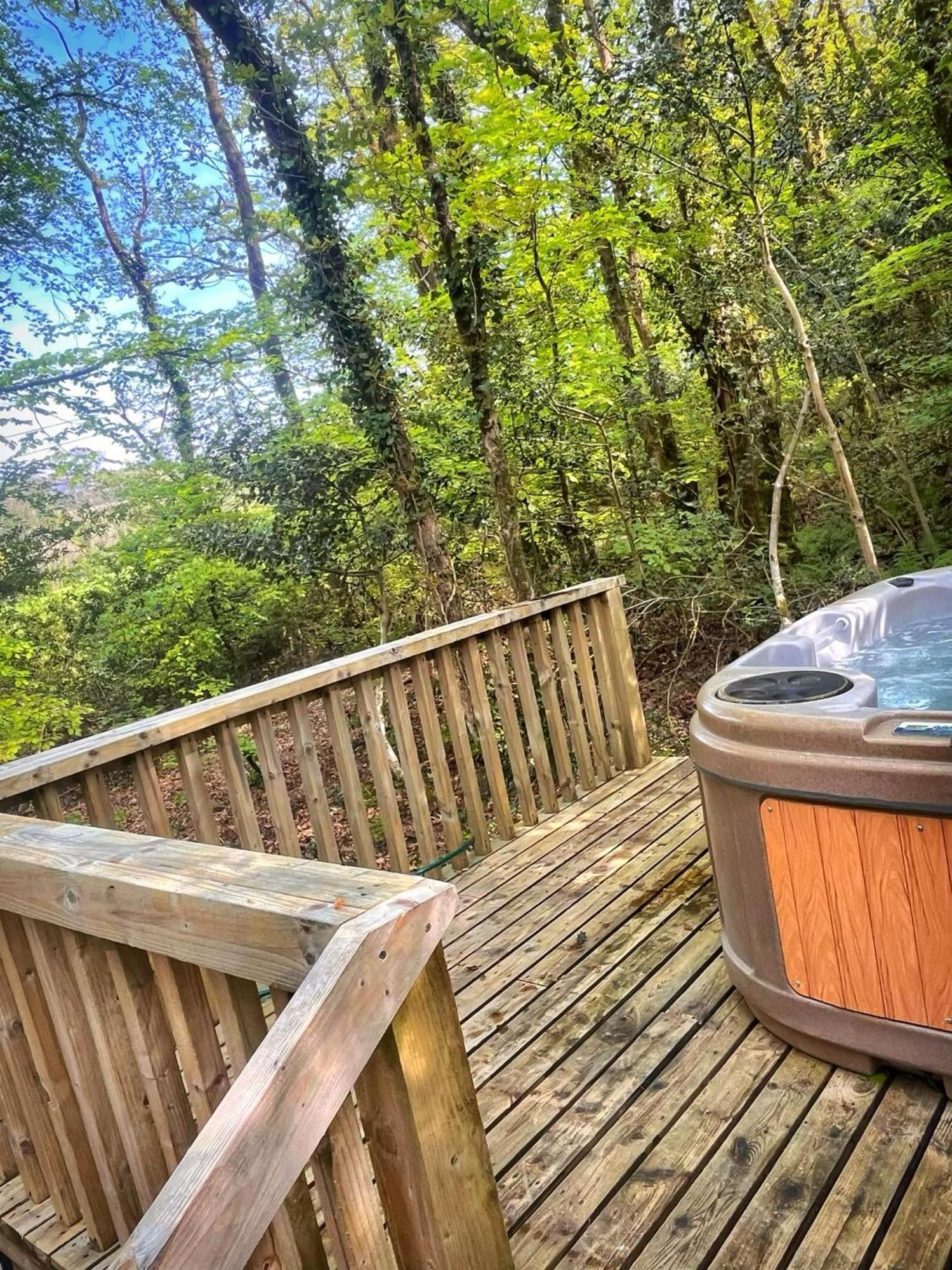 Woodland View -Hot Tub-Tenby-Carmarthen-セント・クリアーズ エクステリア 写真